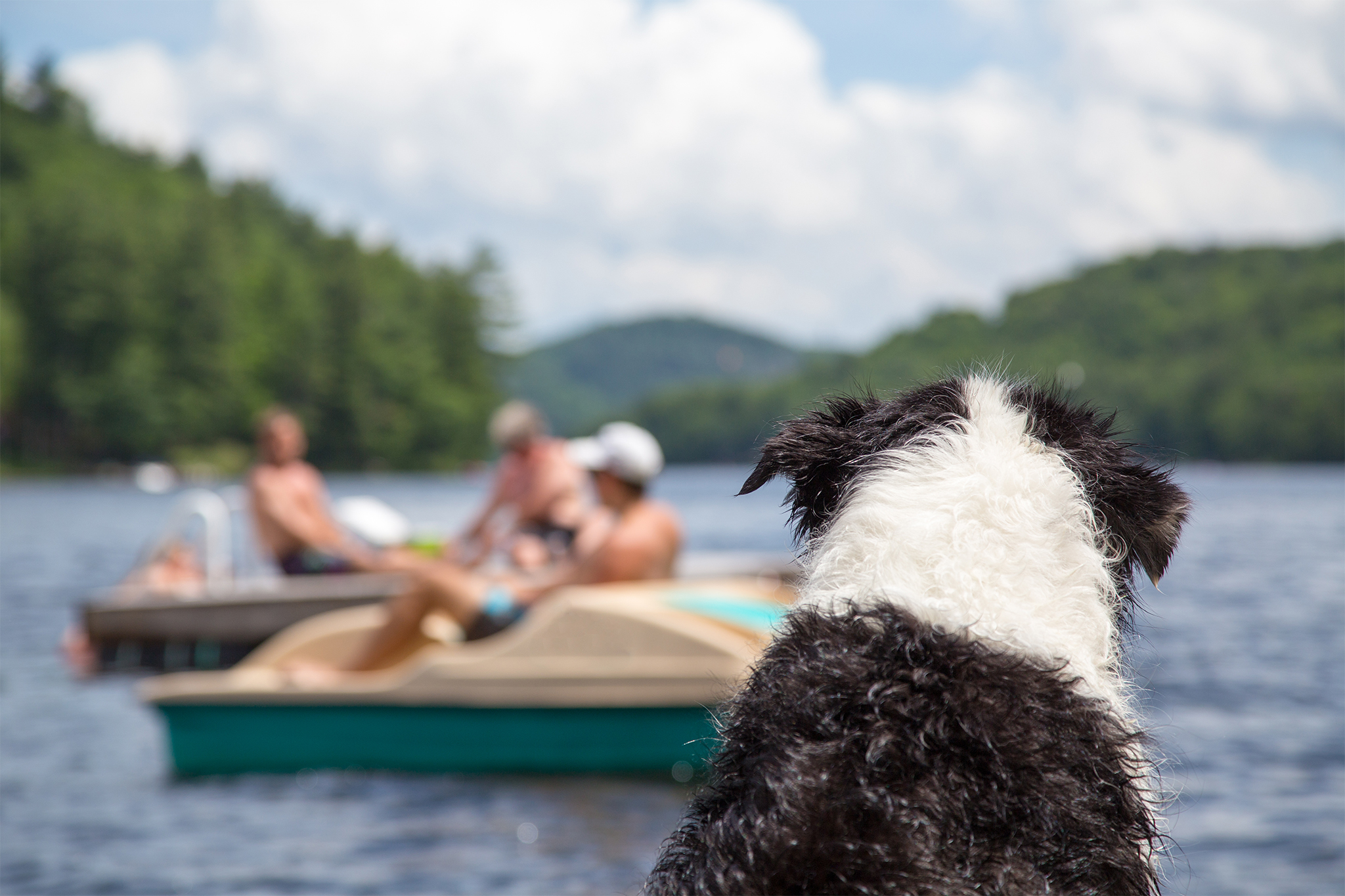 family cottage capital gains